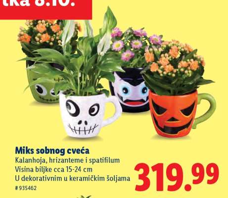 Miks sobnog cveća