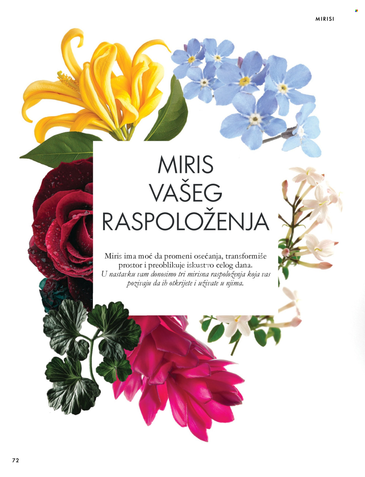 Oriflame katalog  - 07.10.2026 - 17.11.2026. Stranica 72