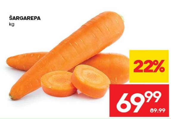 Šargarepa
