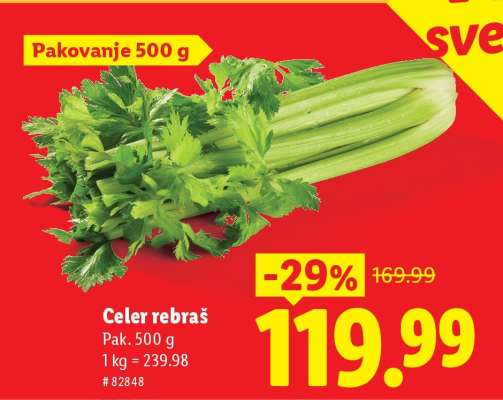 Celer rebraš