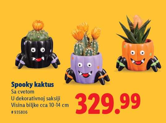 Spooky kaktus