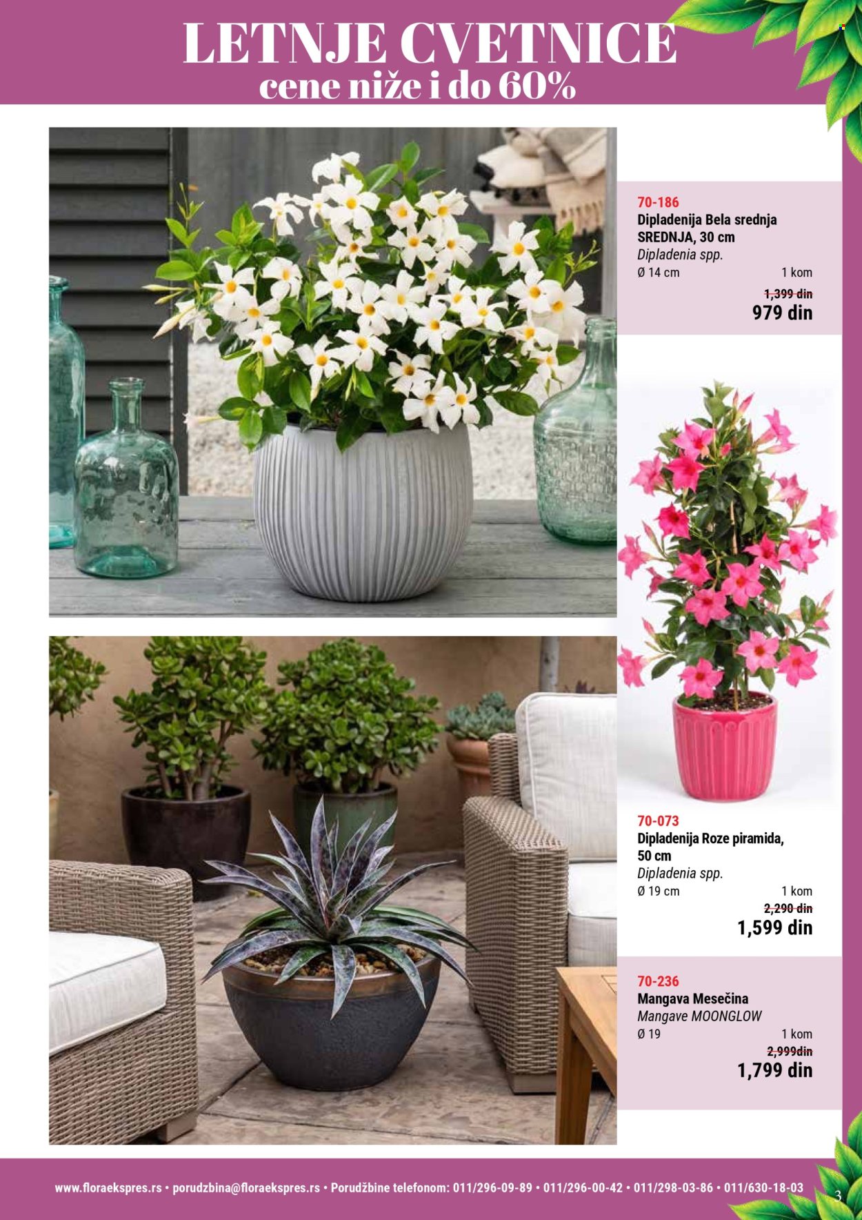 Flora Ekspres katalog . Stranica 3