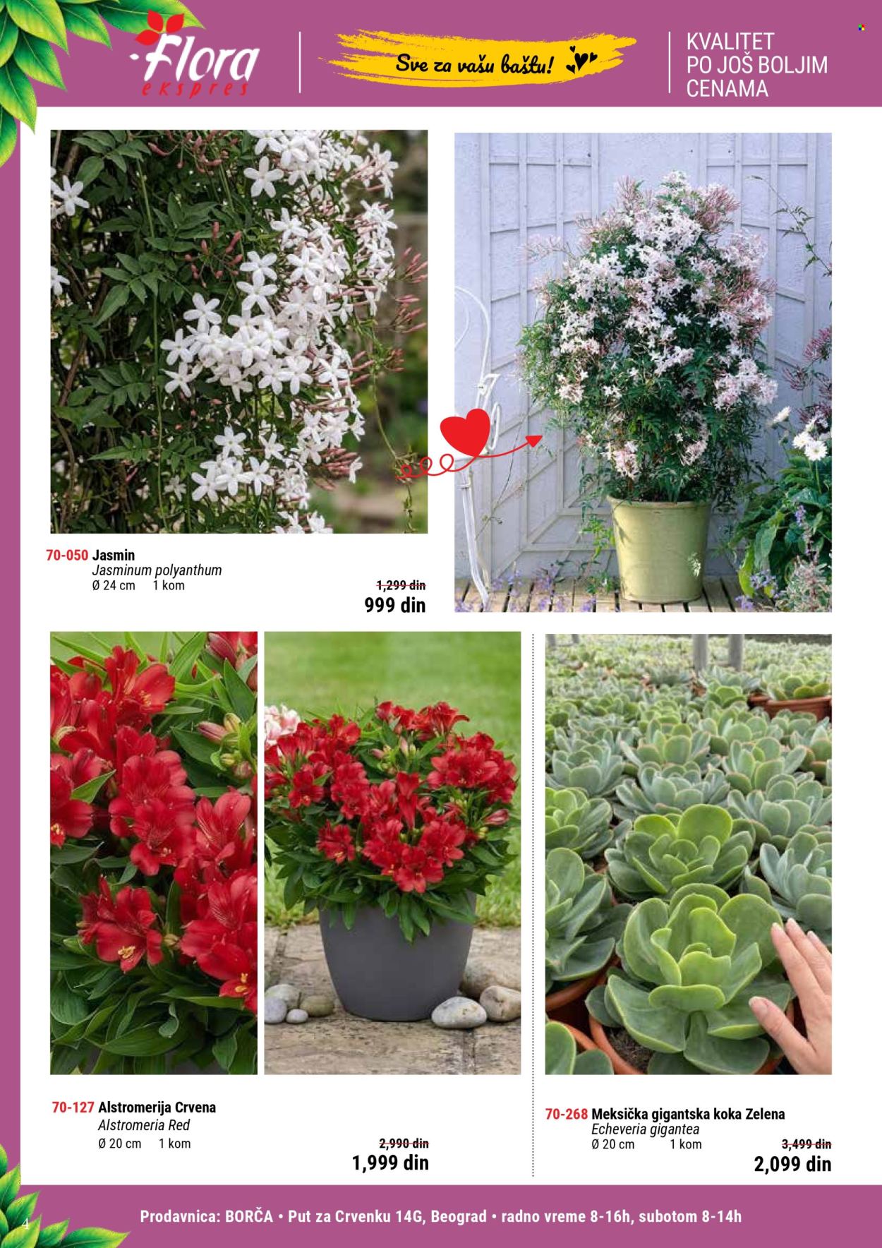 Flora Ekspres katalog . Stranica 4