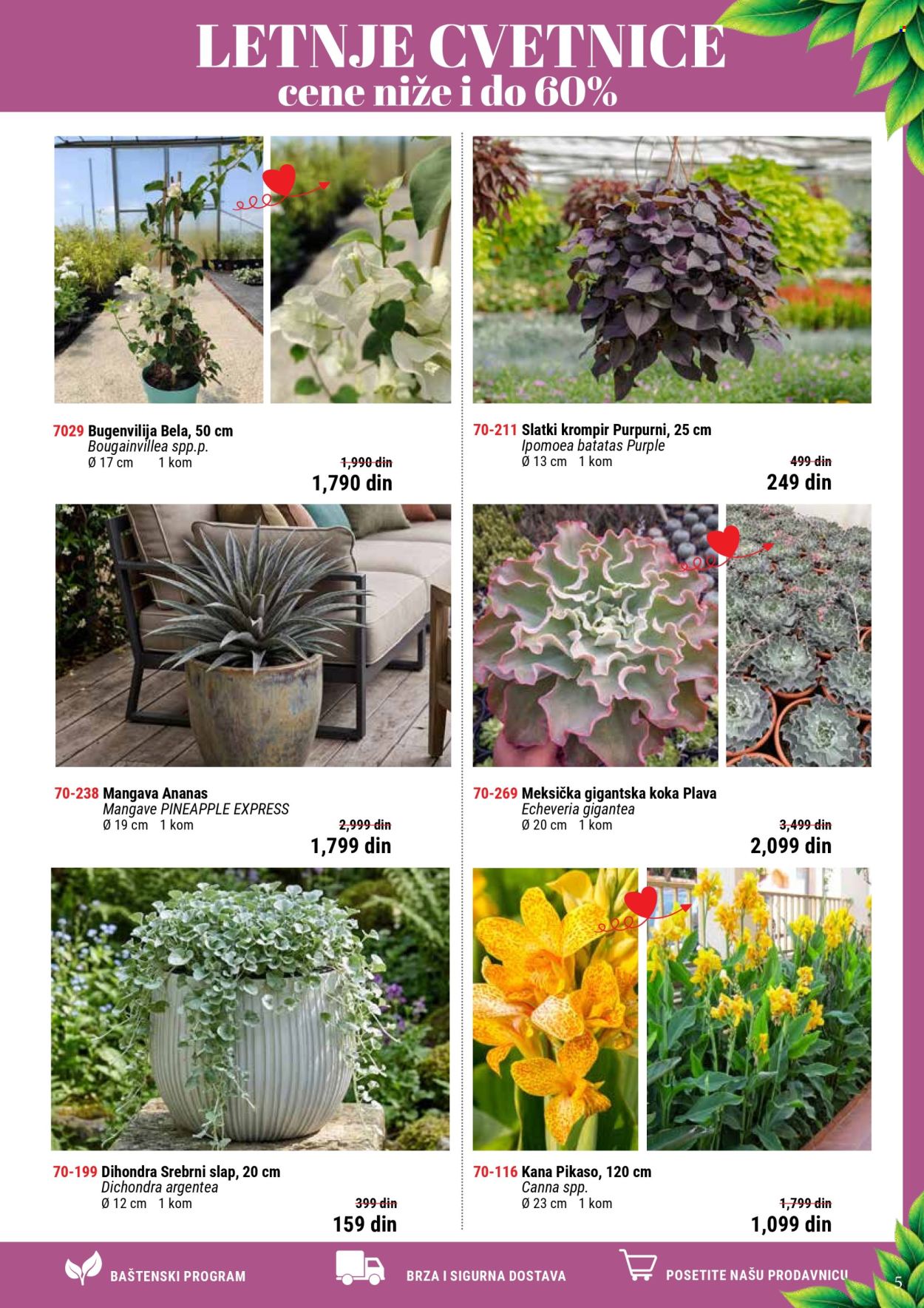 Flora Ekspres katalog . Stranica 5