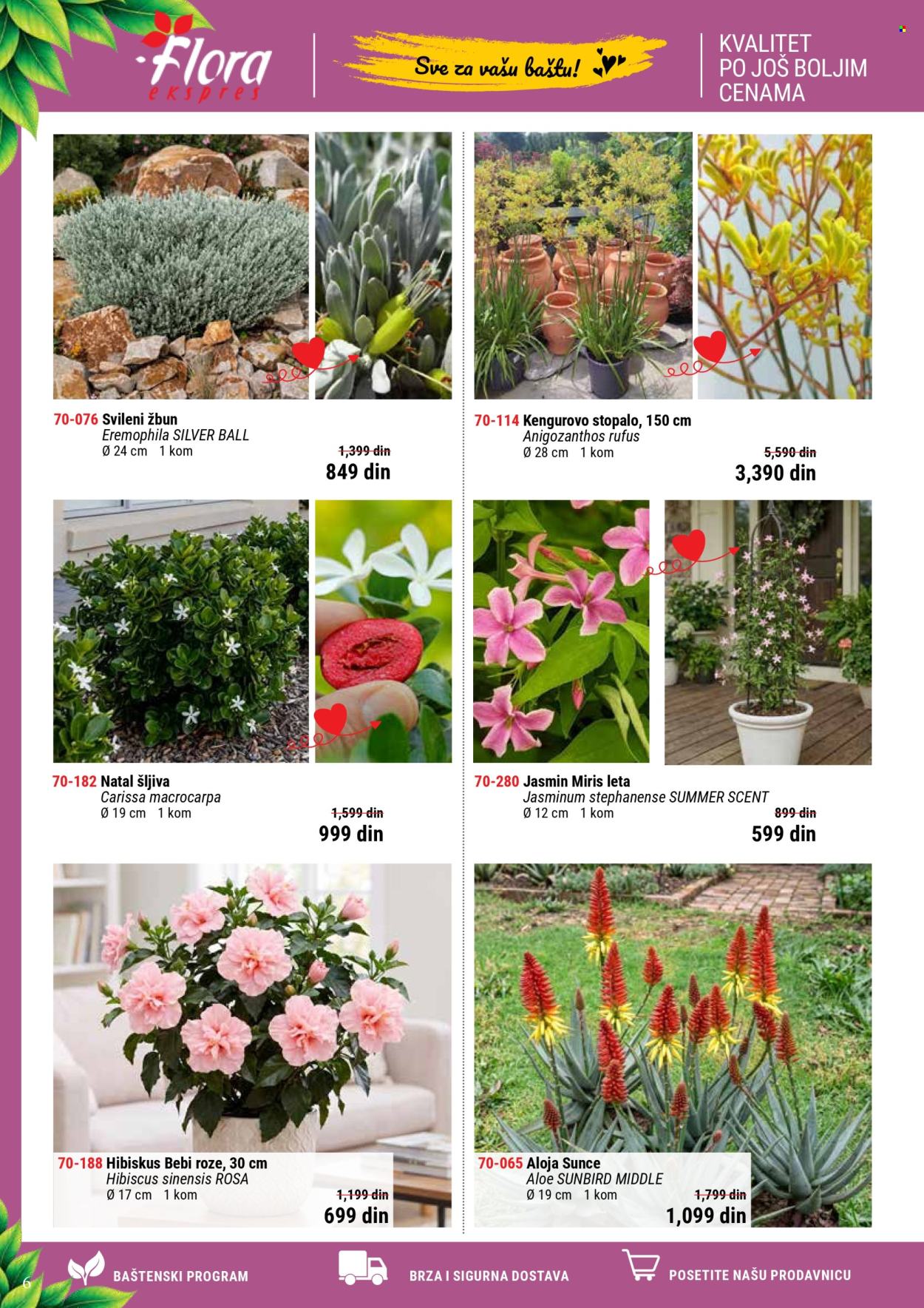 Flora Ekspres katalog . Stranica 6