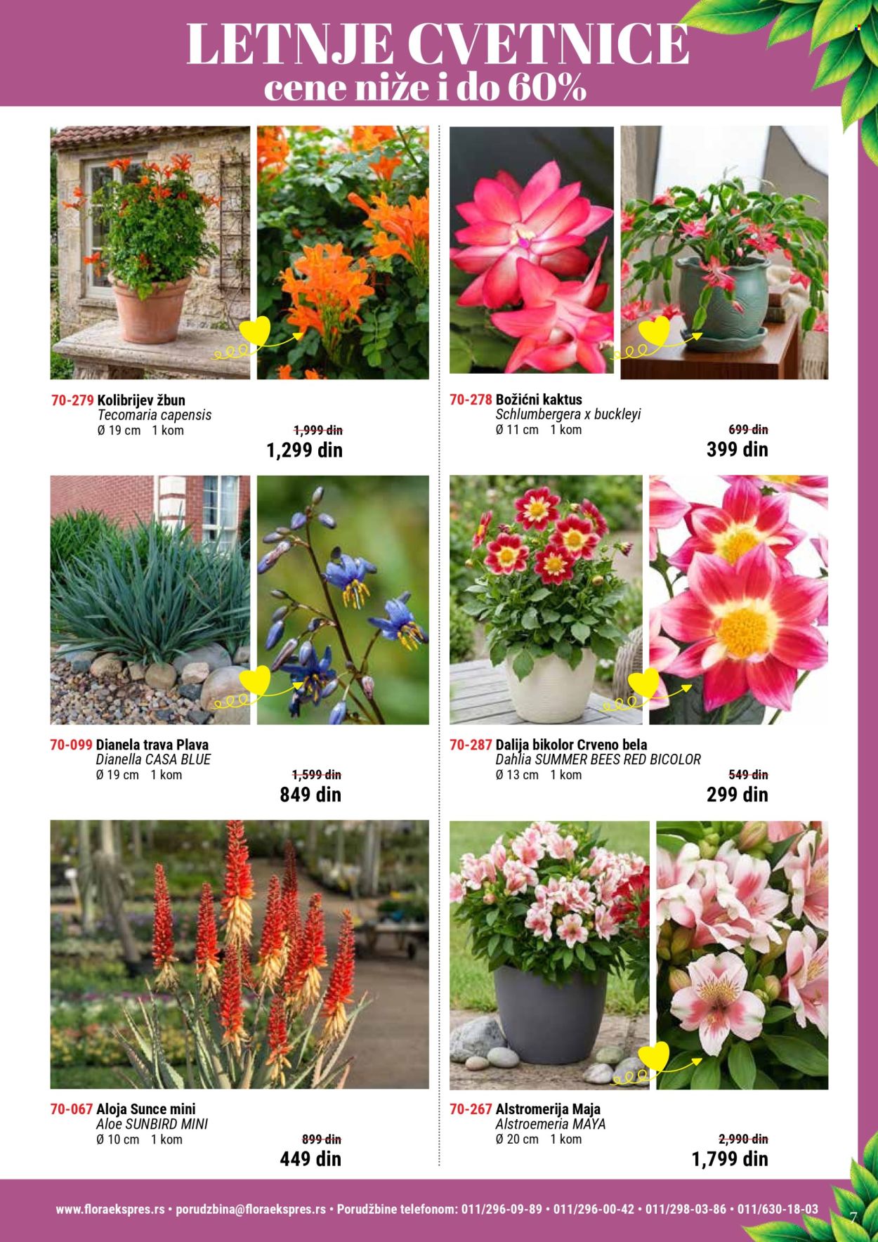 Flora Ekspres katalog . Stranica 7