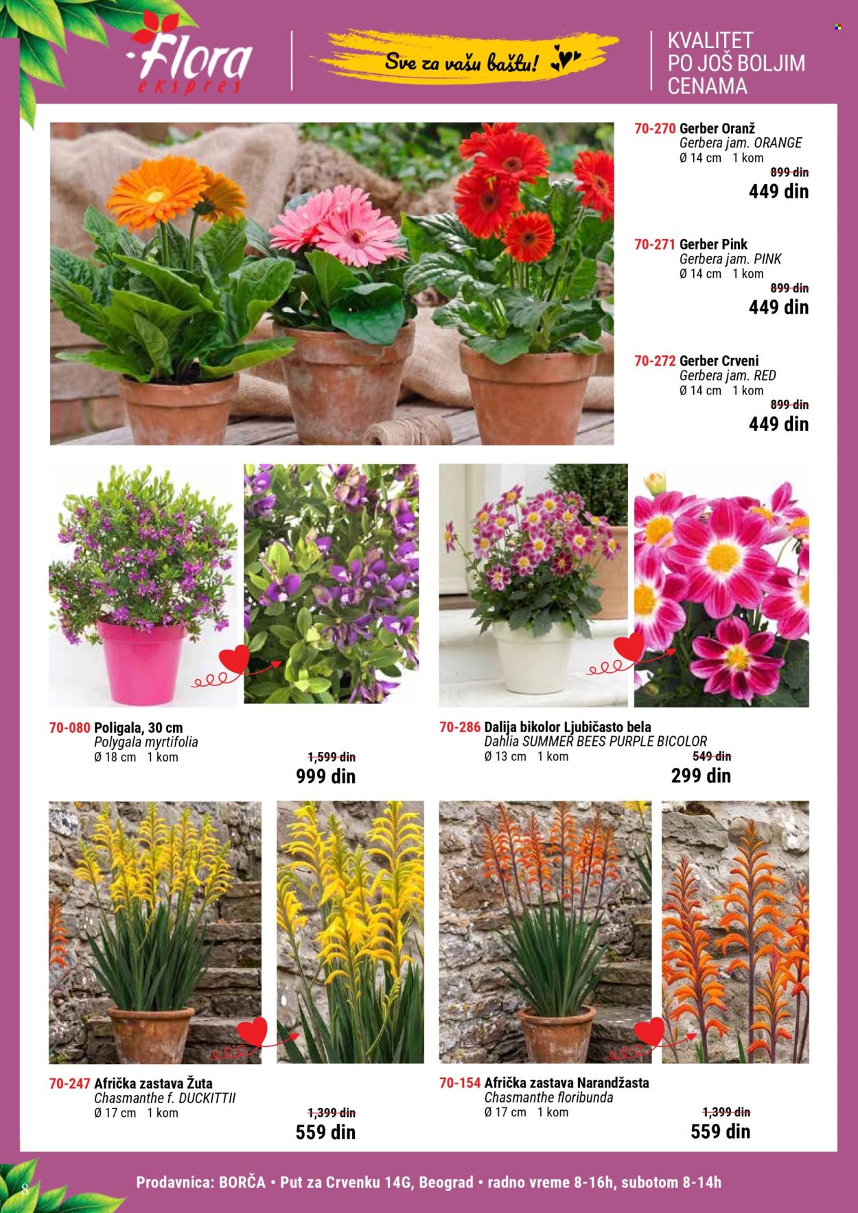Flora Ekspres katalog . Stranica 8