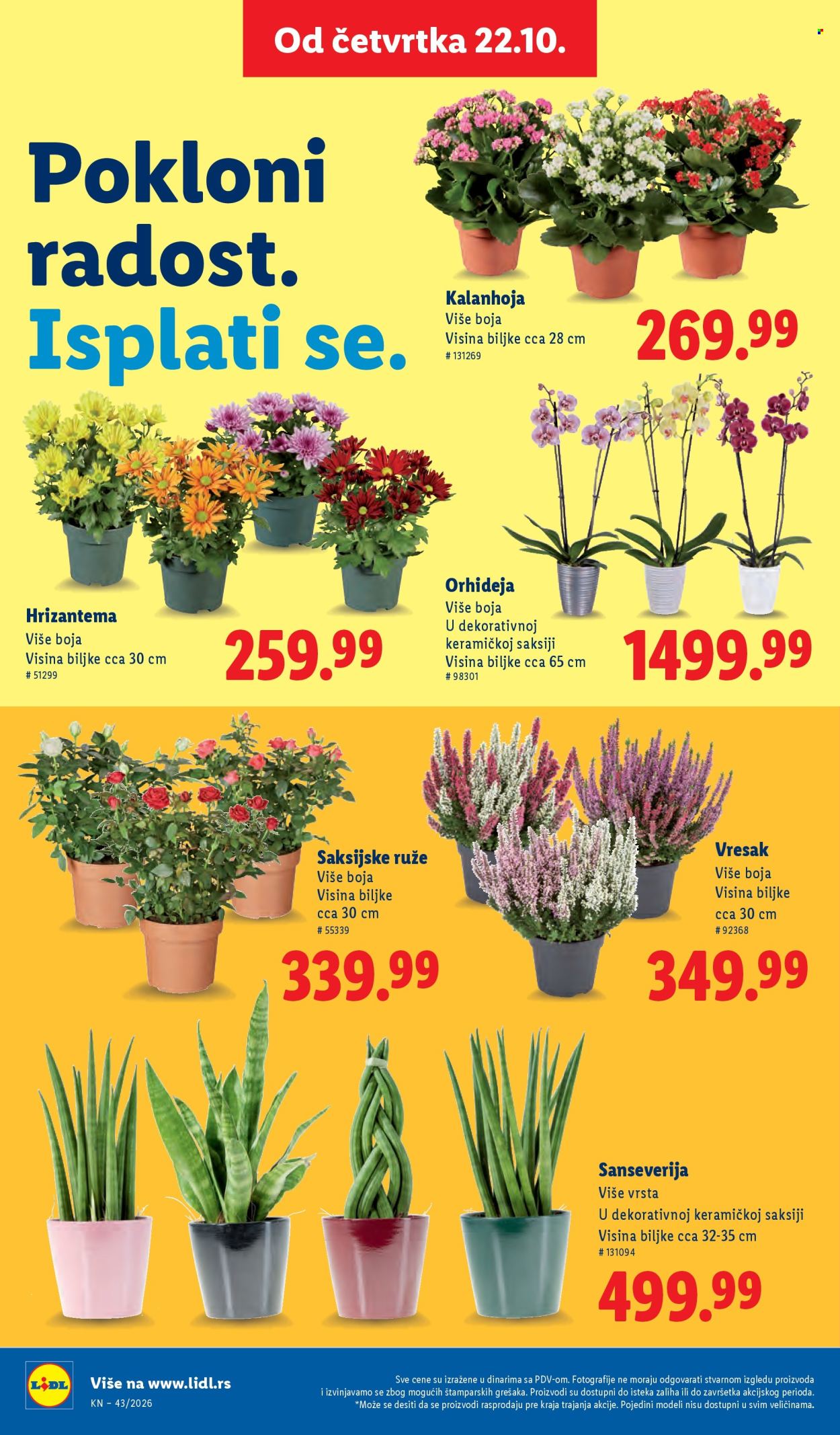 Lidl katalog  - 22.10.2026 - 28.10.2026. Stranica 70