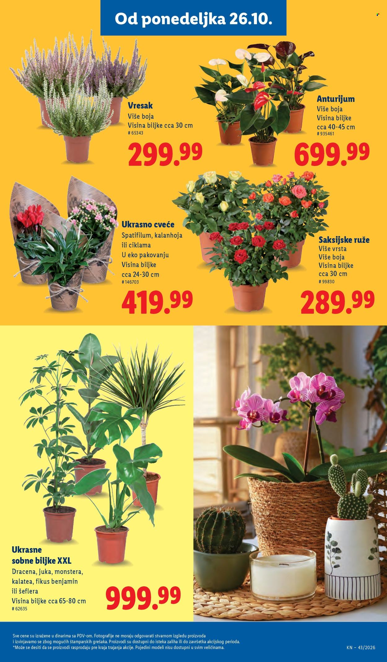 Lidl katalog  - 22.10.2026 - 28.10.2026. Stranica 71