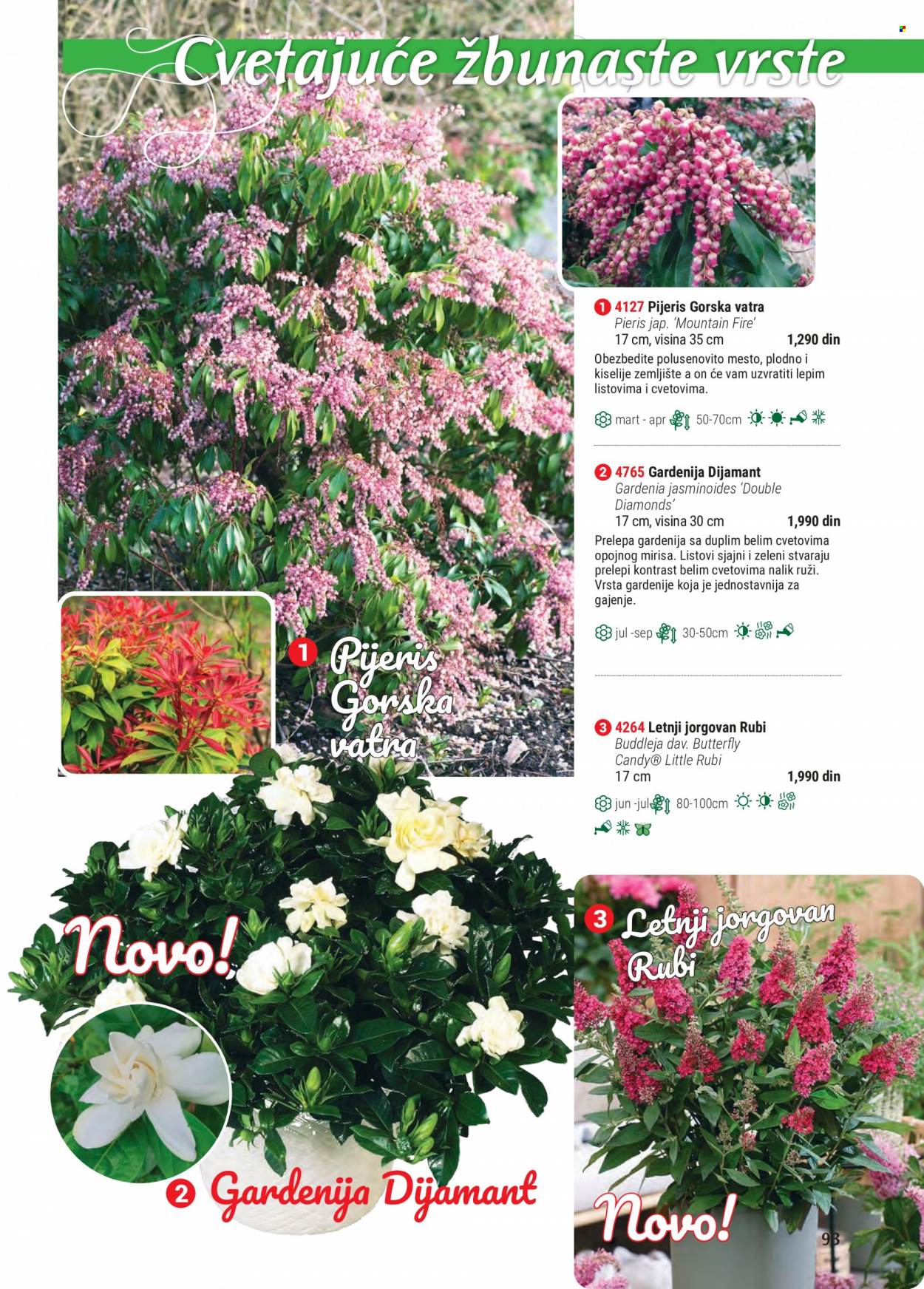 Flora Ekspres katalog .